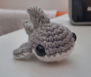 Tiny_shark_01_small2