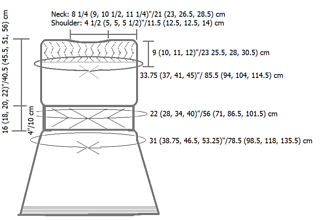 Transient_tunic_schematic_small2