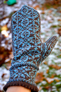 Dsc_1255_small2