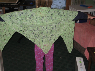 Dianna_20shawl_20004_small2