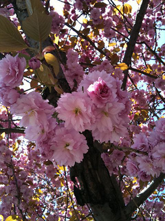 Img_0543_small2