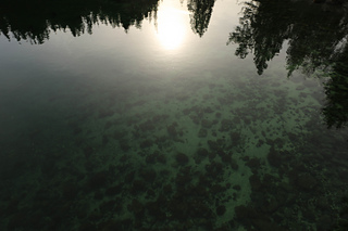 Img_5321_small2