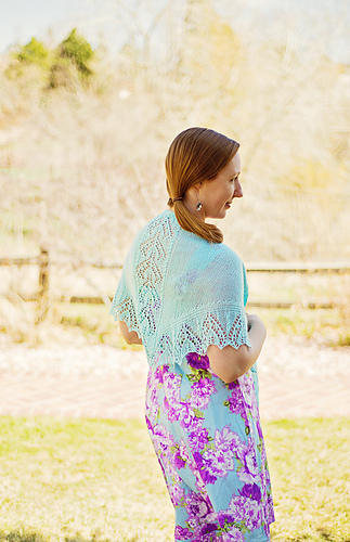 Ceirli_shawl_print01_medium