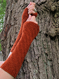 Img_5456crop2_small2