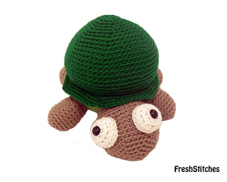 Rav_turtle3_small2