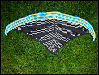 Wraptor_4_small2