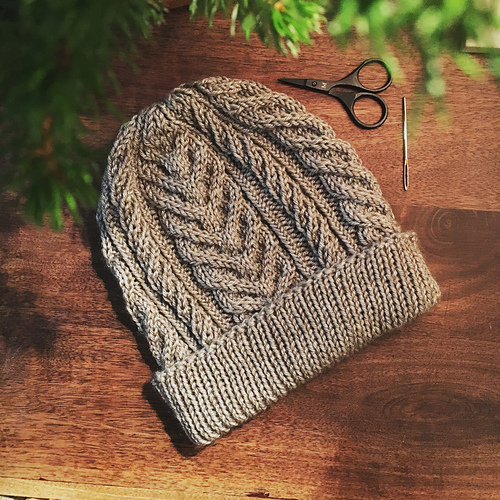 After lots of fear, I finally completed my first cabled beanie! I’m in ...