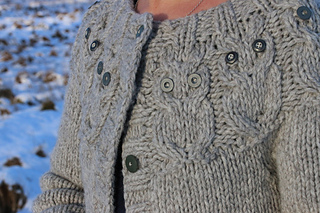 Owliganl12_small2