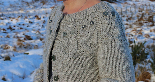 Owliganl11_medium