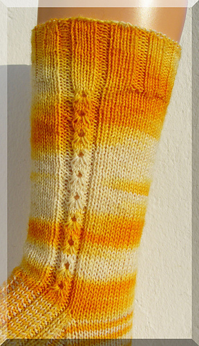 P1370455_medium