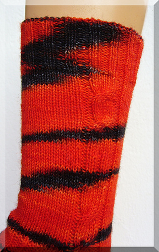 P1370633_medium