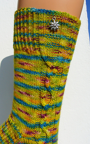P1410028_medium