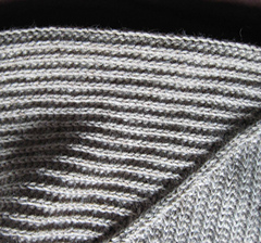 Closeupraglan_small